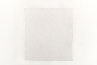 Стекло защитное 102*52 прозрачное фото №3884525